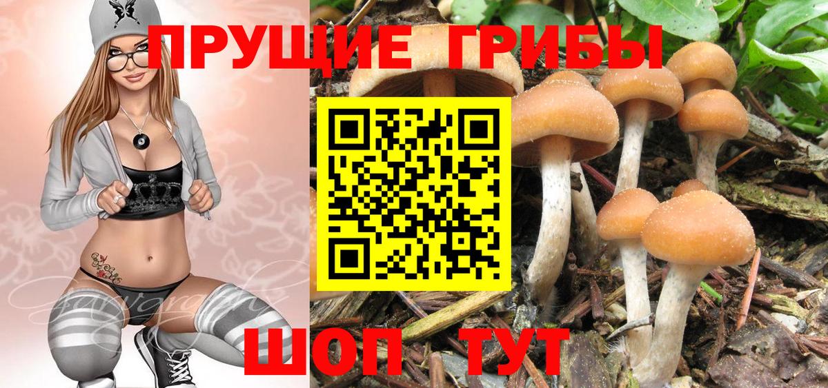Псилоцибиновые грибы GOLDEN TEACHER Александров