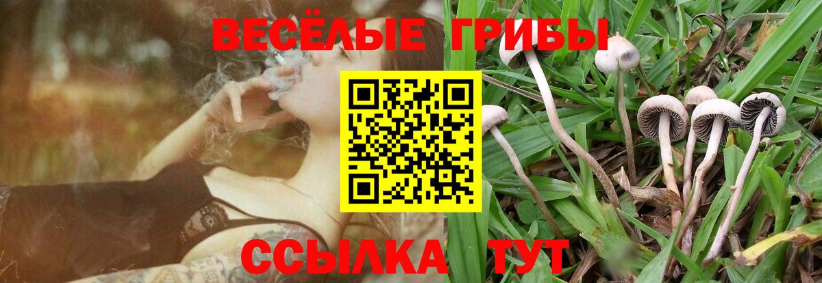Галлюциногенные грибы прущие грибы  Вход с VPN  Александров 